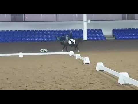 NPS Dressage Champs 2020, Mynach Party Fun Freestyle to Music.
