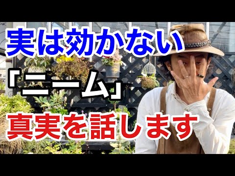 自家製天然肥料 魚の残り物 植物に良い肥料を与える