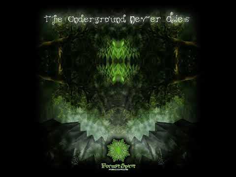 08 Spagettibrain - If there is there is