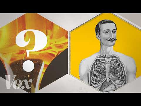 破解迷思！「蜂蜜」其實沒辦法治療過敏！ (No, honey can’t cure your allergies)