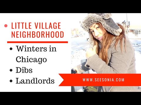 Little Village Chicago Neighborhood - Winters (Dibs) - Landlords