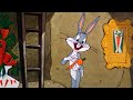Compressed Hare