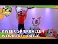 DAG 6 | ZAPPSPORT@HOME WORKOUT MET NATHAN RUTJES  | ZAPPSPORT