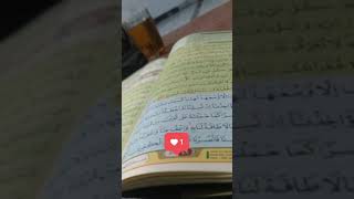 Download lagu story'wa ngaji surat an nisa mp3 Download lagu story'wa ngaji surat an nisa mp3