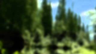 Orion & J. Shore - isolatedmix 35