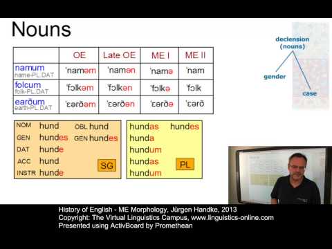 HIS132 - ME Morphology