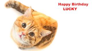 Lucky   Cats Gatos - Happy Birthday
