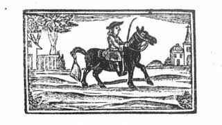 Andy M. Stewart - The Ramblin&#39; Rover