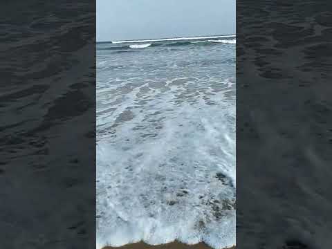 pravasthi's world #viral song#chitti allale#gopalpur beach#odisa#plz subscribe frnds