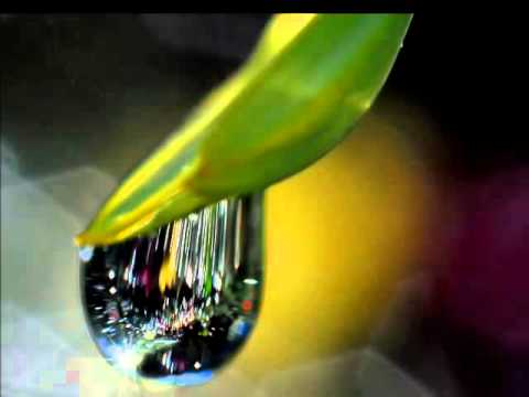 Cross only for me（私だけの十字架）Guitar Solo Arrangement