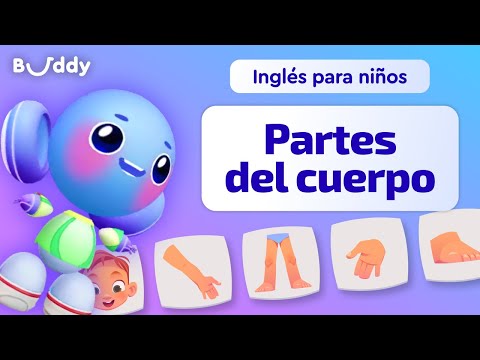 Partes del Cuerpo en Inglés | Inglés para Niños | Aprende palabras en inglés con Buddy.ai