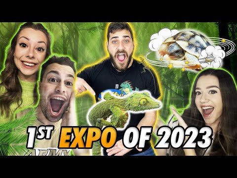 The MOST UNDERRATED Family Reptile At The Reptile Expo!