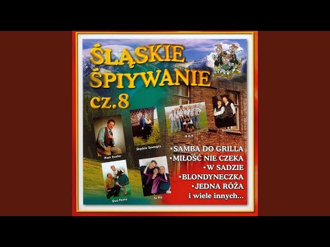 Dam Ci to co w sercu mam