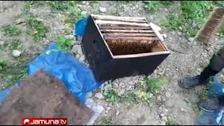 মৌমাছি চাষাবাদ, বেলকুচি