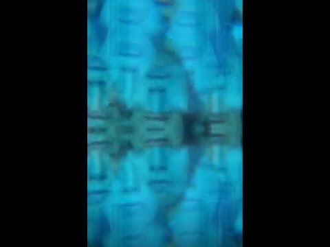 Bitácora de Conexión Creativa