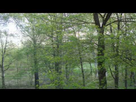 | "Chhail Chhabeela" / "O Mundeya" | Asha Bhosle | Shabbir Kumar | Shammi Chaudhari |