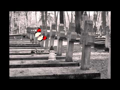 Wyzwania Mc Sobieskiego 45 - Biało - Czerwone Motyle