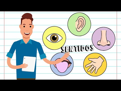 SISTEMA SENSORIAL - RESUMO