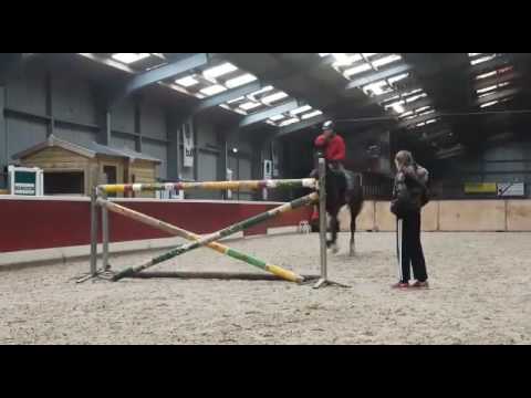 Freeke 28-12-2016 1.35m stijl sprong