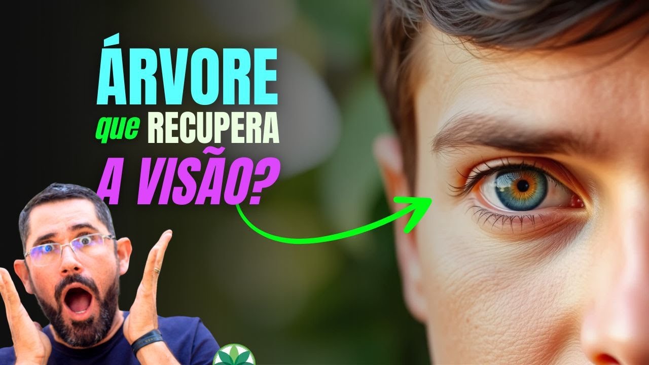 Chapéu-de-Sol: Essa árvore pode controlar sua glicemia, proteger seus rins e recuperar sua visão
