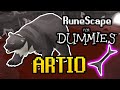 Artio EXTREMELY LOW RISK Guide 2024 - Low/Med/High Level & Budget Setup (OSRS Runescape for Dummies)