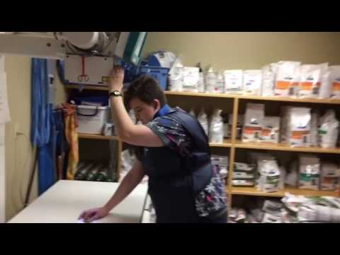 Sugar Creek Animal Hospital Mannequin Challenge