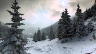 Amorphis ~ Black Winter Day (Lyrics)