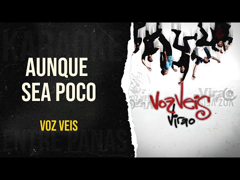 Aunque Sea Poco • Voz Veis (Karaoke)
