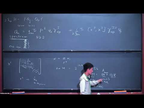 A Review of the BFSS Conjecture - Part 2
