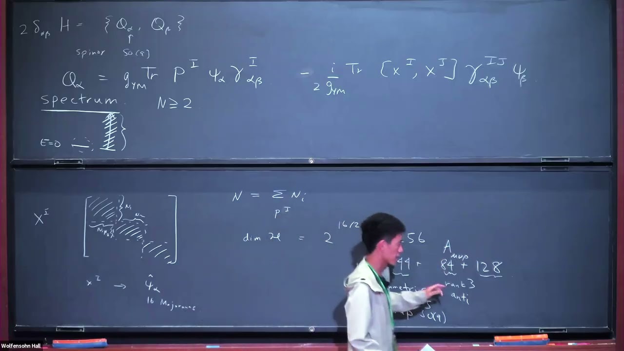 A Review of the BFSS Conjecture - Part 2