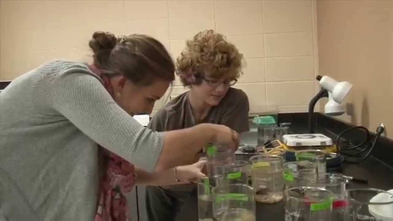 The Mosaic Collective