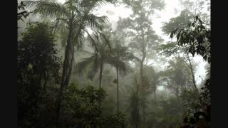 The Dodos "Precipitation"