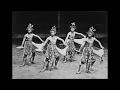 The Sultan's Pleasure  - Javanese gamelan and vocal music from the palace of Yogyakarta (1986)