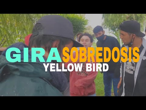 CENTER vs GABO - Semifinal | Gira Sobredosis la Placita 2020 | #yellowbird