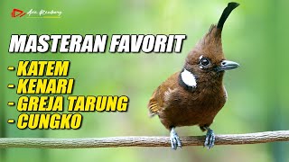 Download lagu MASTERAN FAVORIT KATEM - KENARI - GREJA TARUNG - JENGGOT - CUNGKO mp3