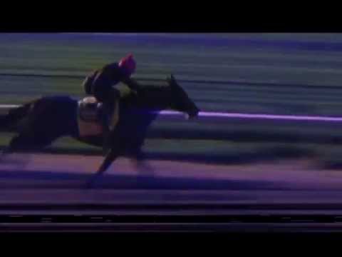 |`Liaison\Flashback - Baffert's hopefuls