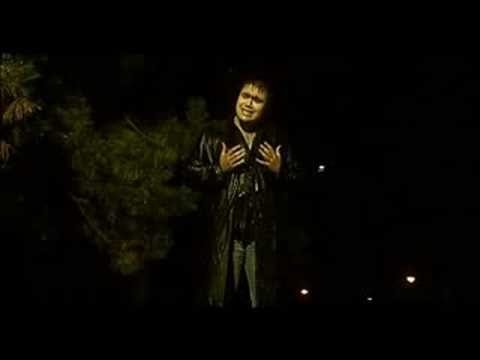 Narcis - Iubire Minicinoasa