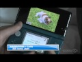 Nintendogs + Cats Japanese Quick Look (3DS)