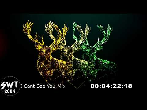 swat2004-I Cant See You-Dubstep Mix