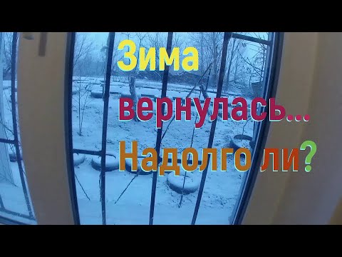 Закупка продуктов к Дню Рождения / цены на продукты / Возвращение зимы