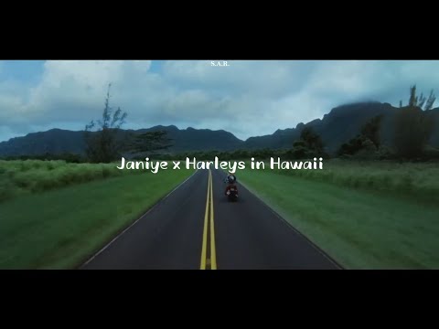 Janiye X Harleys In Hawaii [Lyrics Video mix] | Rashmeet Kaur | Vishal Mishra | Katy Perry