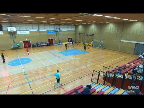 Samenvatting Excelsior'31 - ZVC Veenendaal (1e divisie C, 10-01-2025)