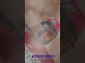 Hithanna Epa Oba Ahithak Somasiri Madagedra Song Pathum Shanu
