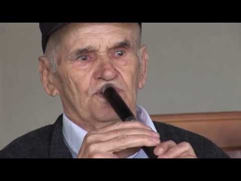 BOGDAN NIKOLIĆ - Vlaška izvorna muzika uživo - 2015.