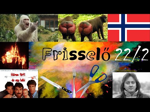 FRISSELŐ 2019 #22 part 2. | Kés, villa, olló, dobosok közelébe nem való!