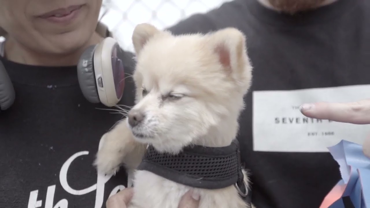 Street Gallery LA — TravMSK — INGF