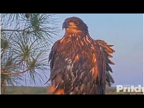 SWFL Eagles ~ FAREWELL E20! 💕 Beautiful Music Tribute ~ Hallelujah!! 5.25.22