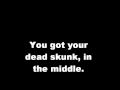 Dead Skunk in the Middle of the Road - With Lyrics