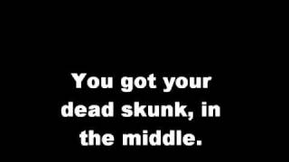 Dead Skunk in the Middle of the Road - With Lyrics