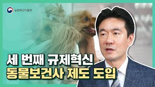 더불어 살아가는 반려동물을 위한 전문 의료 서비스, 동물보건사 제도 도입 | 2021 규제혁신